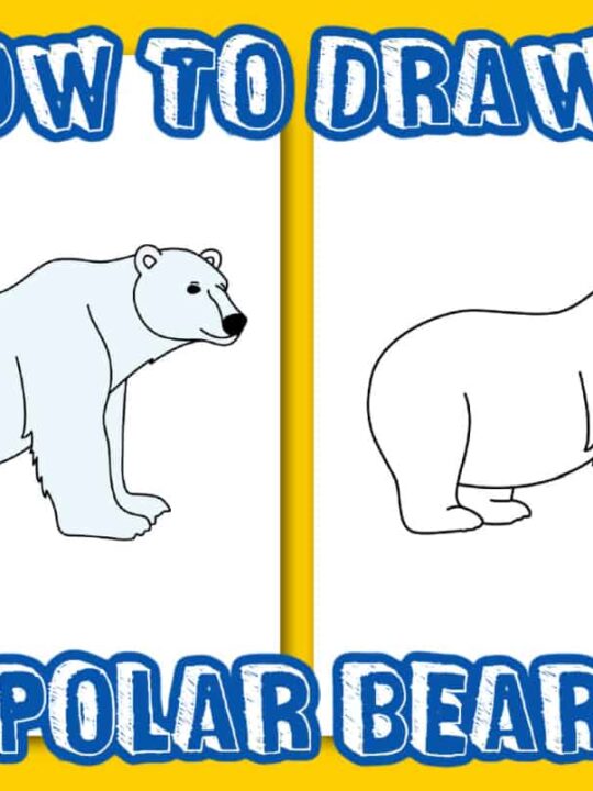 Polar Bear sketch by silvercrossfox on DeviantArt