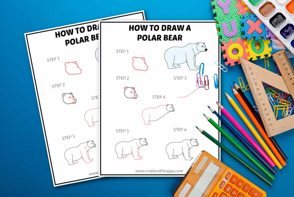 polar bear drawings