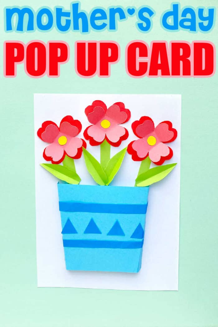Birthday /Mothers day /any occasion pop up card