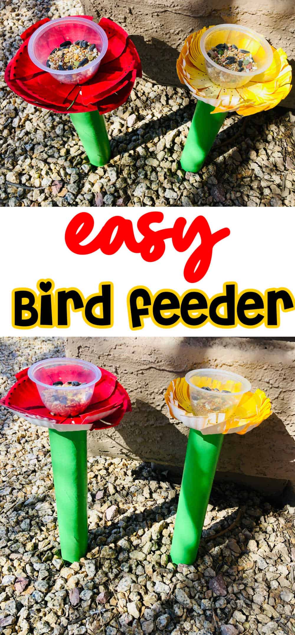 preschool bird feeder craft