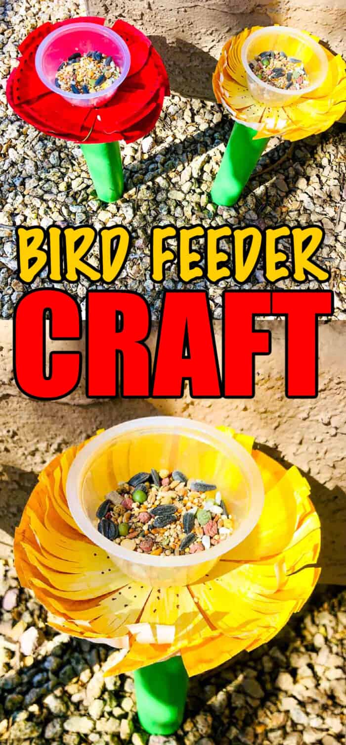 Preschool bird feeder craft