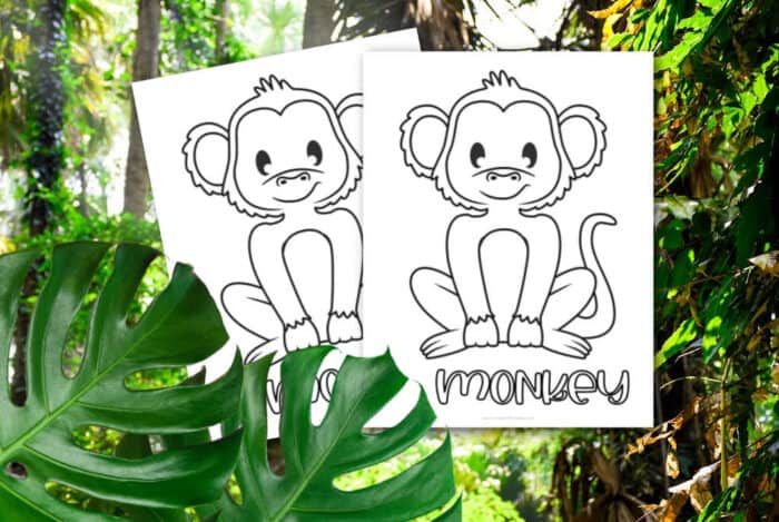 preschool monkey coloring pages