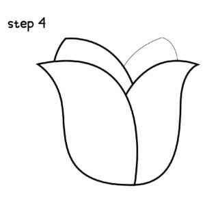 Rose Draw Step 4