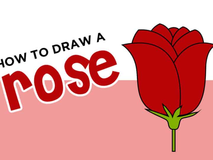 rose drawing