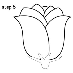 Rose Drawing Easy Step 8