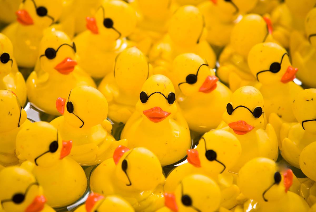 rubber duckies yellow