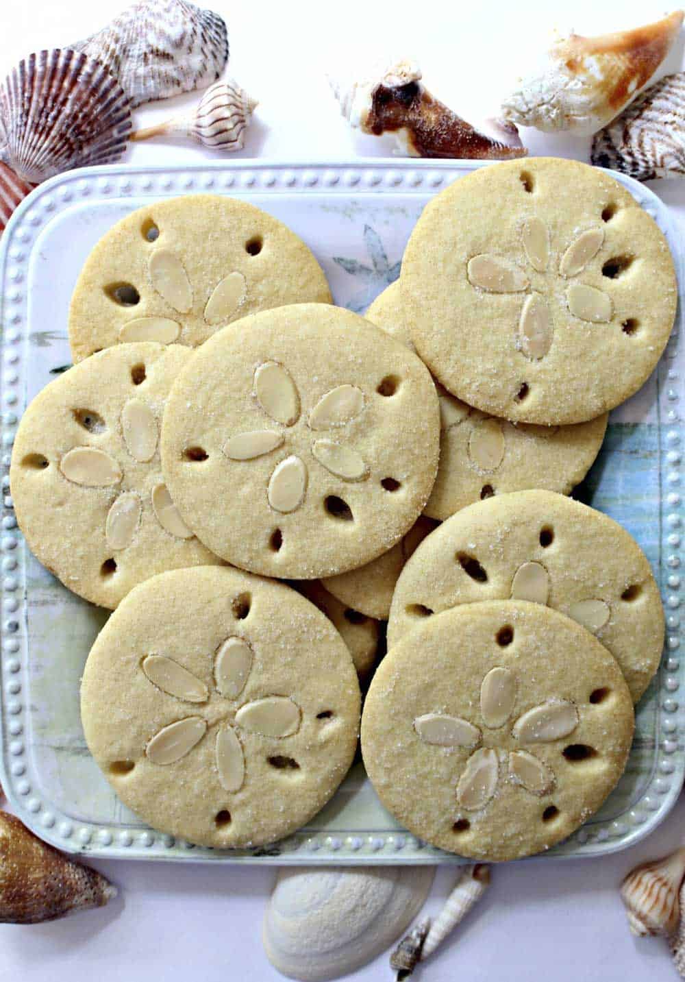 Sand Dollar Cookies