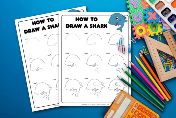 shark how to draw
