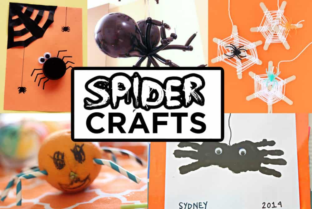 spider crafts