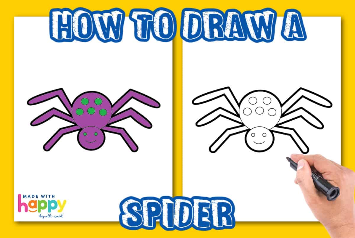 spider to draw