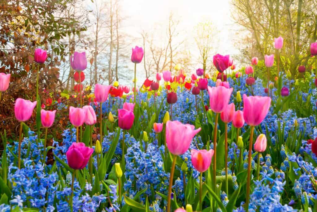 March Holidays - Made with HAPPY