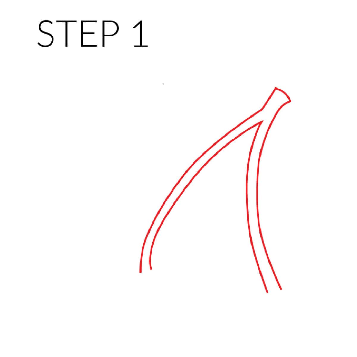 step 1 how to draw cherries