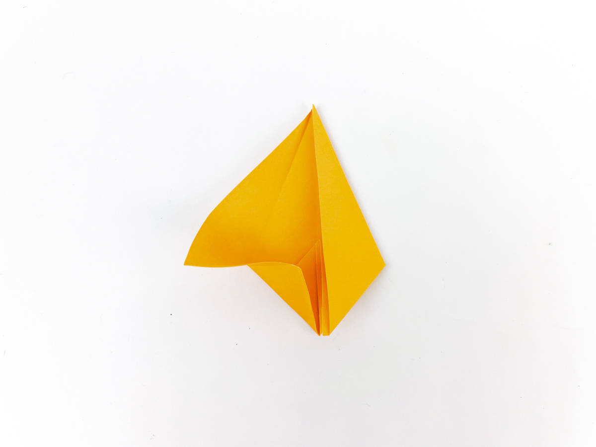 step 10 fold leaf origami