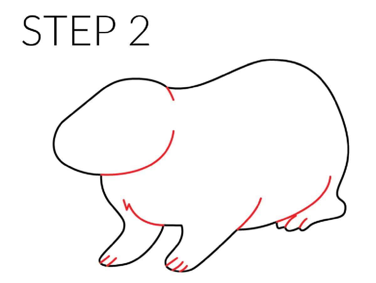 step 2 groundhog drawing