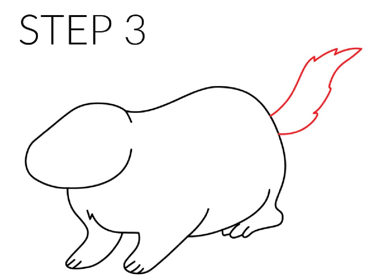 step 3 how to draw a groundhog