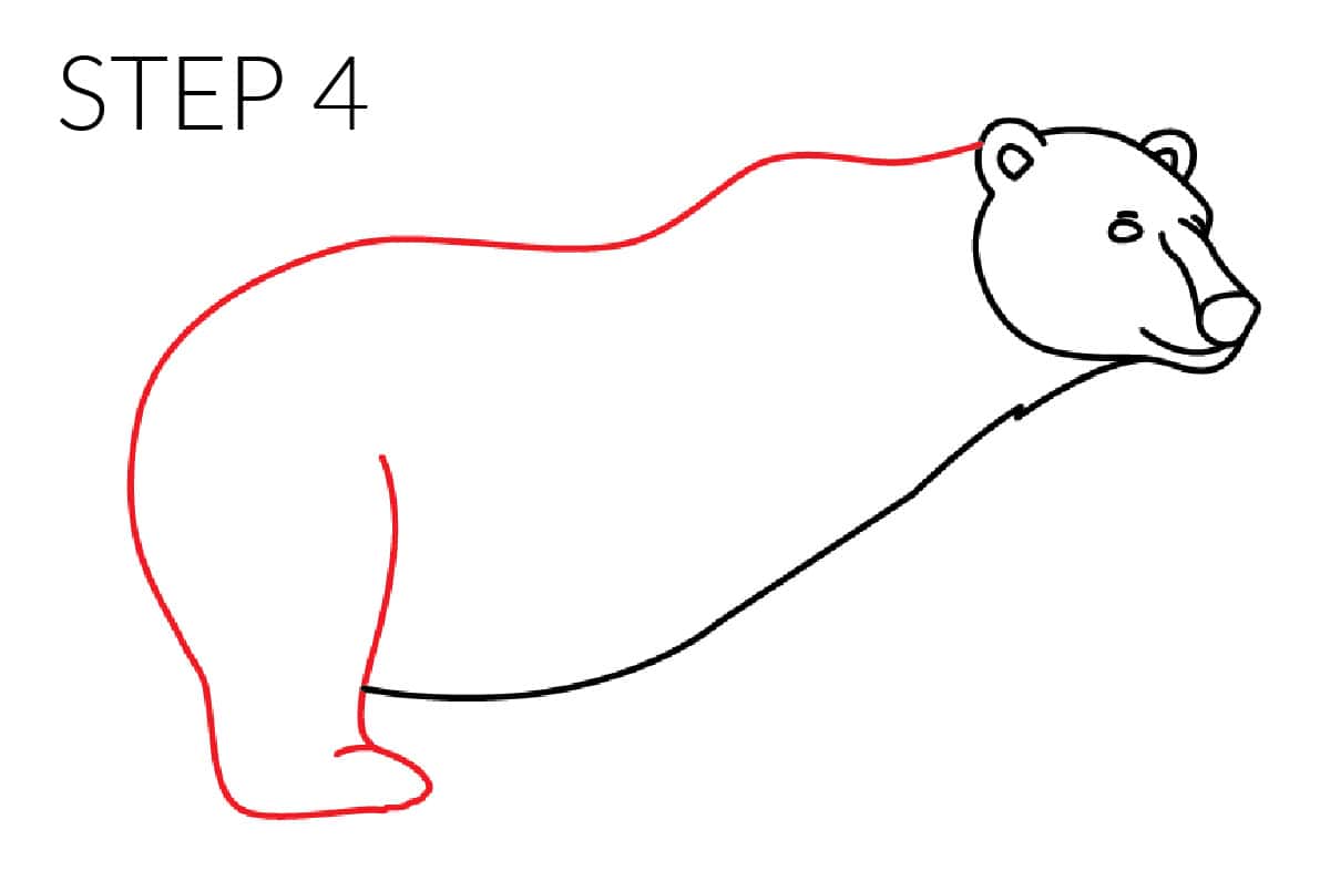 step 4 polar bear back legs drawing