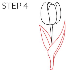 step 4 tulip drawing easy
