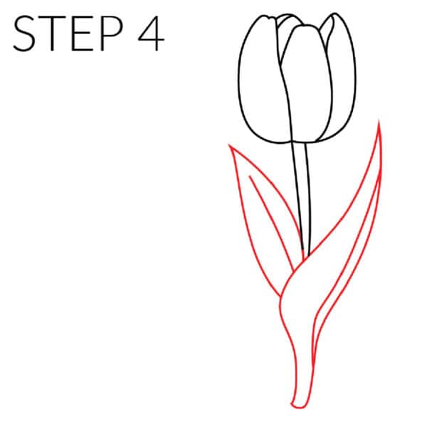 How To Draw a Tulip Easy Step-By-Step Tutorial - Made with HAPPY