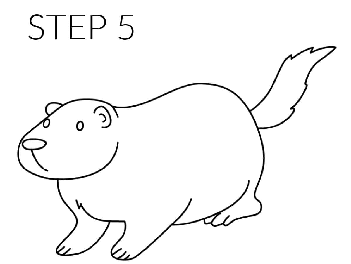 step 5 draw a groundhog