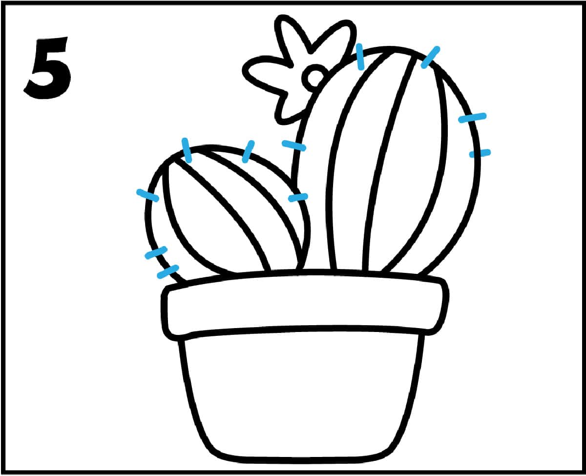 round cactus plant Ferocactus Pringlei 5 Gal