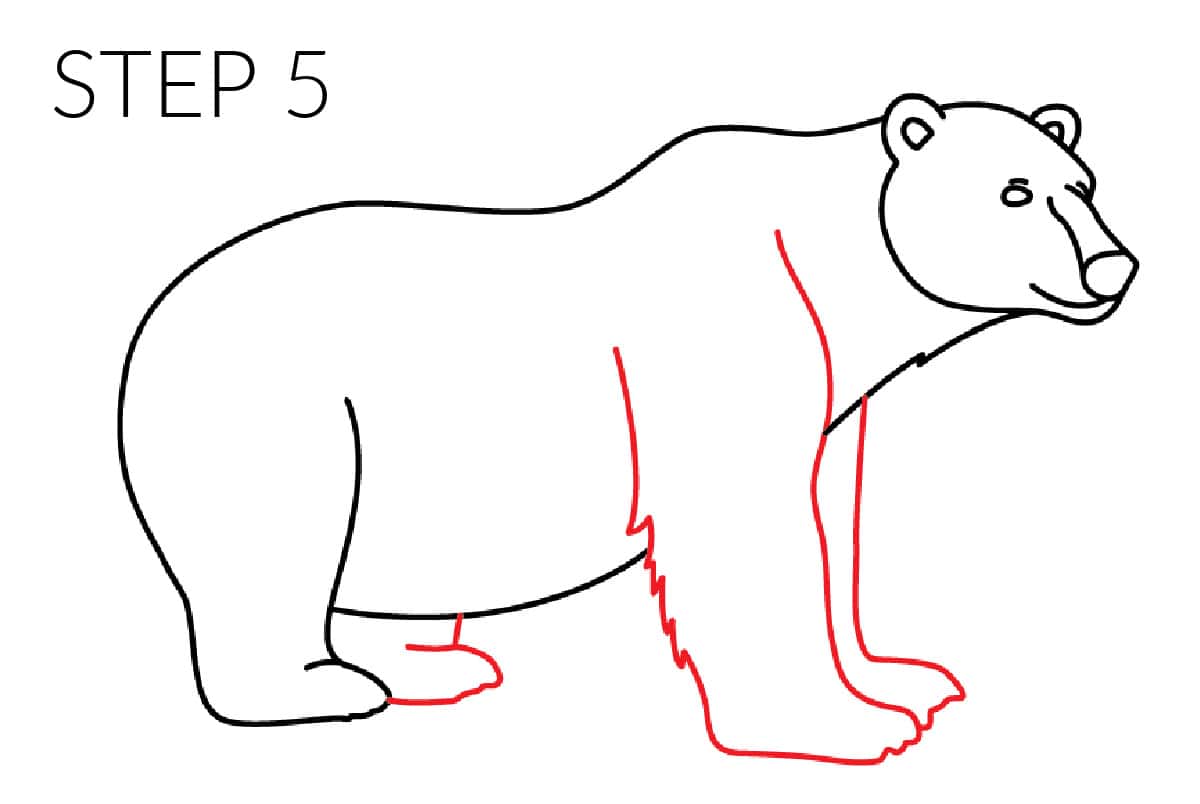 step 5 drawing back legs of polar bear