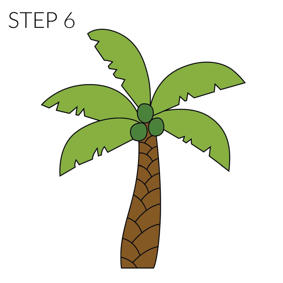 step 6 colored palm tree drawing