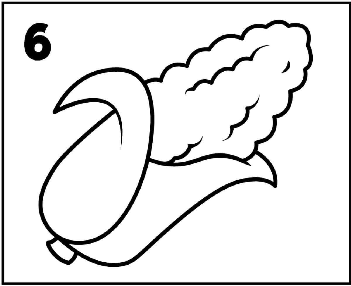 step 6 corn on the cob drawing