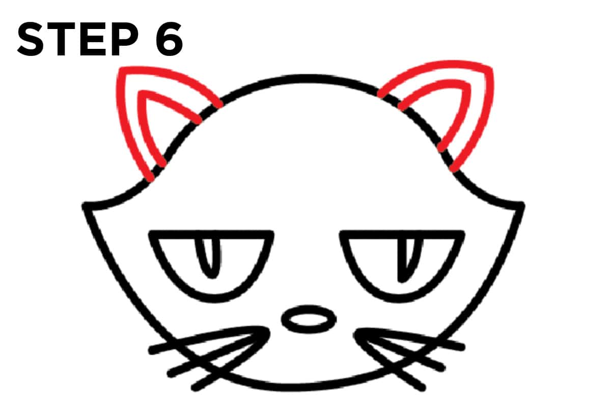 Step 6 Drawing of Halloween Cat