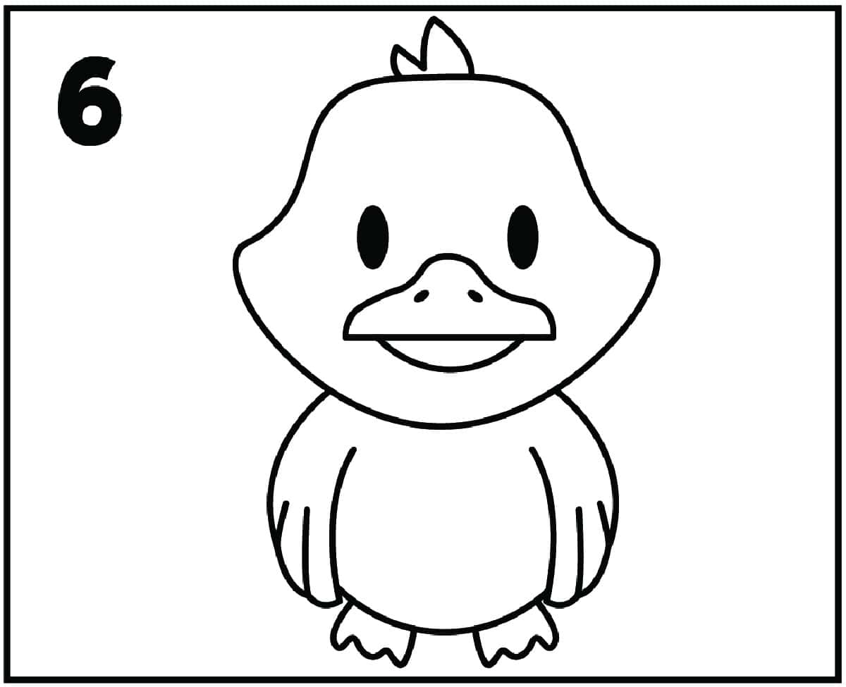 Step 6 Duck How to Draw