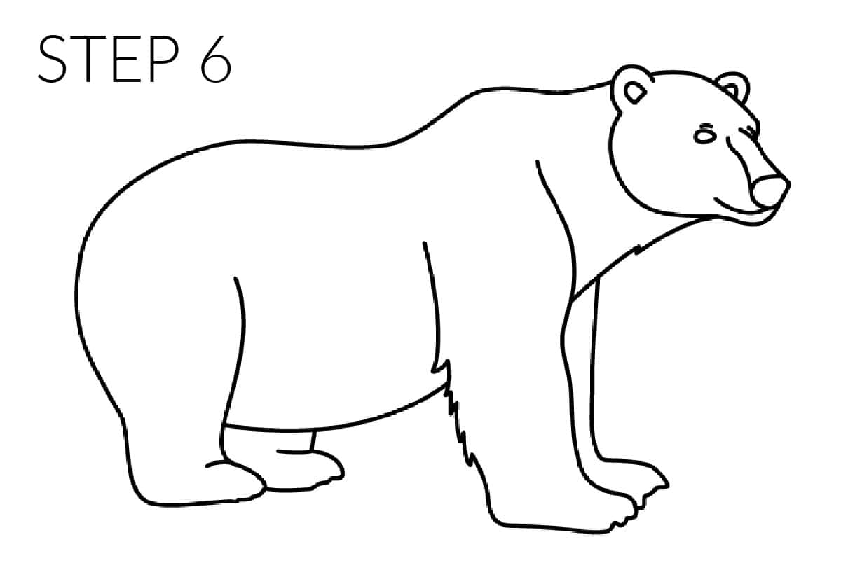 step 6 outline polar bear drawing