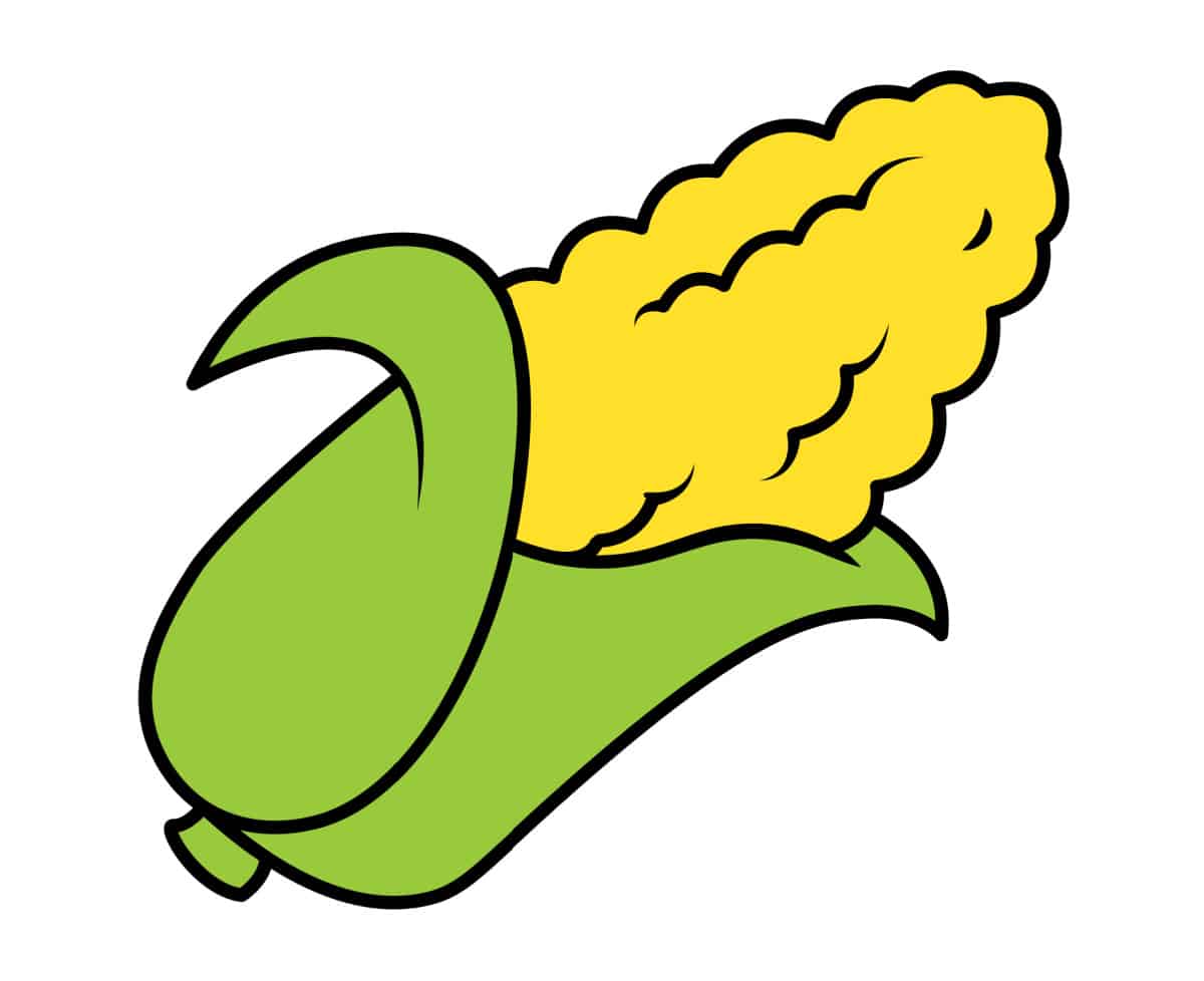 step 7 color in corn on the cob