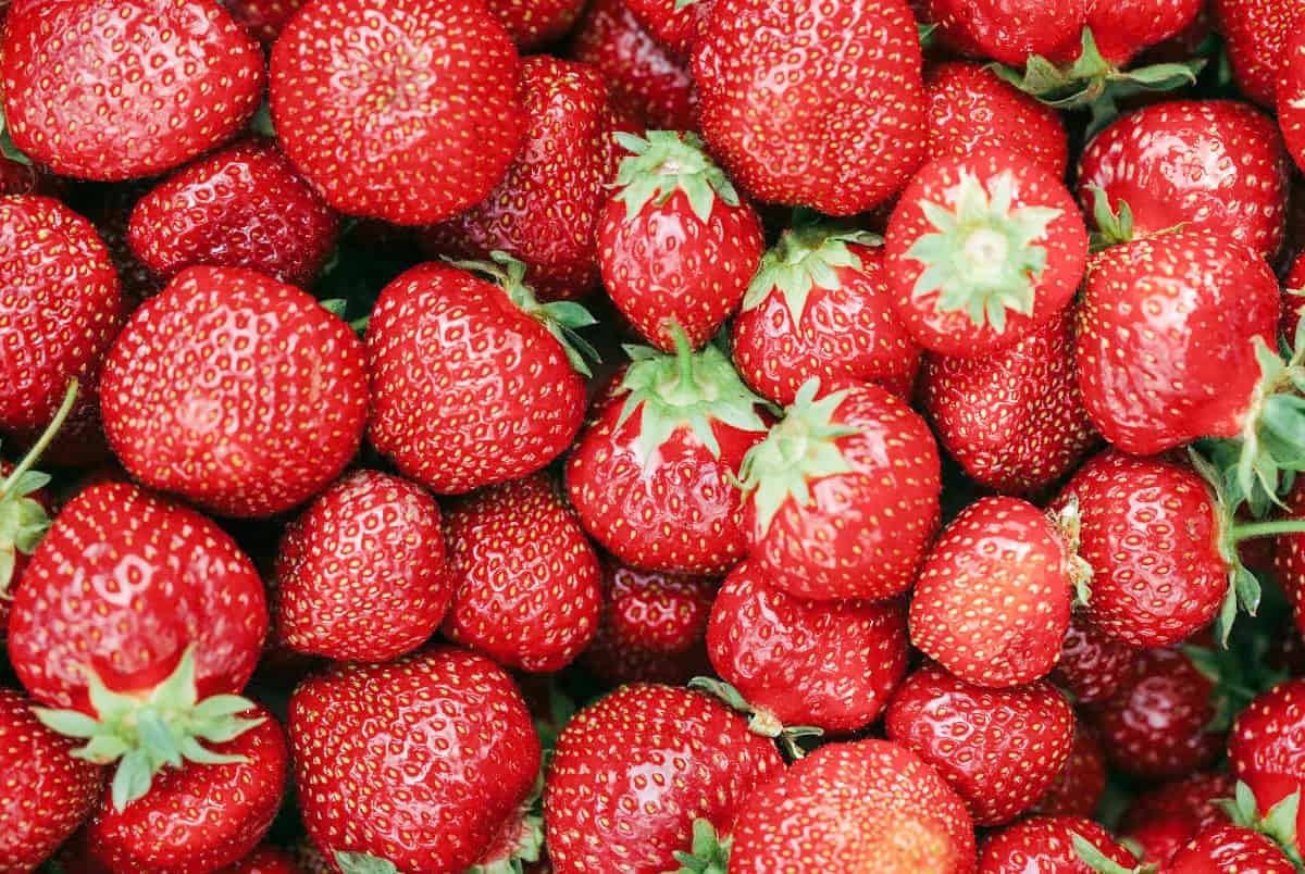 strawberry Fun Facts