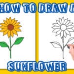 Sunflower Drawing Easy