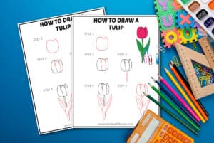 tulip drawing easy