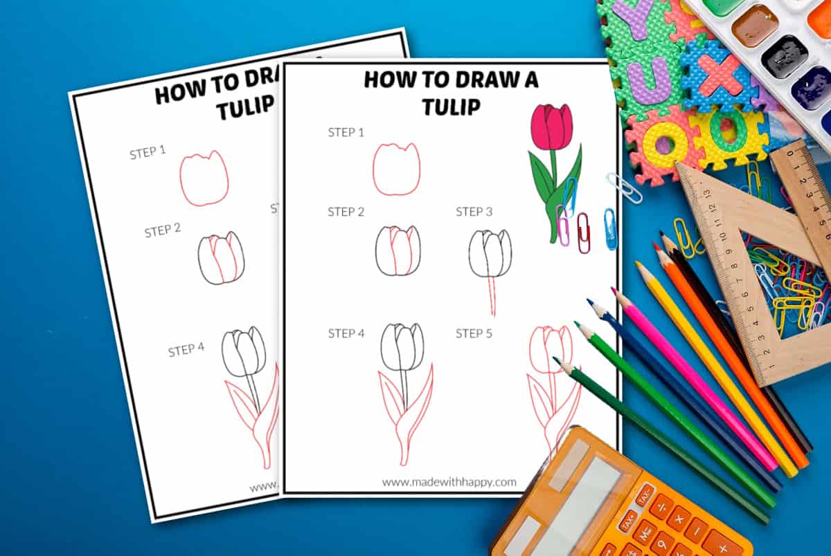 tulip drawing easy