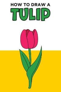 How To Draw a Tulip Easy Step-By-Step Tutorial - Made with HAPPY
