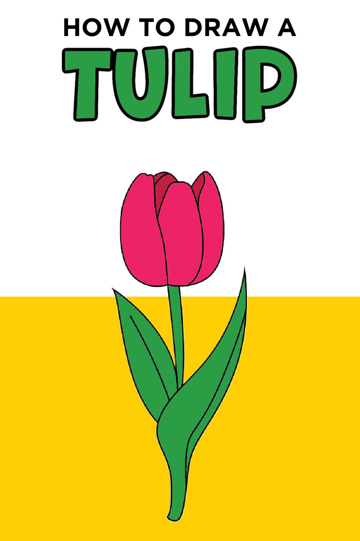 tulips drawing