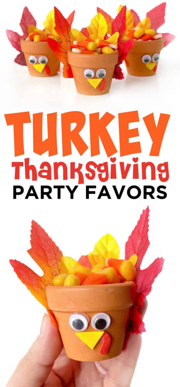 turkey party favors