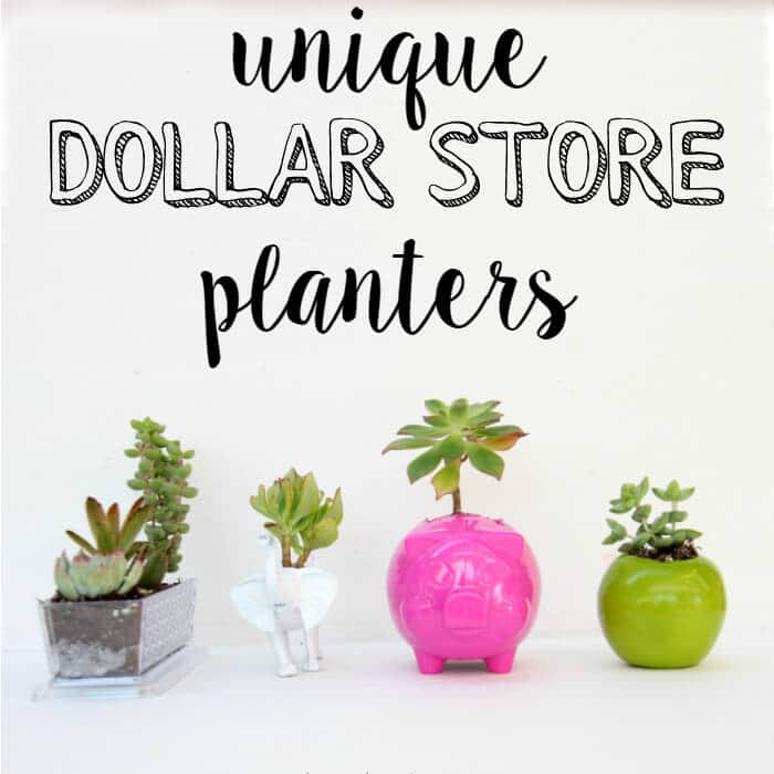 Unique Dollar Store Planters | Unique Modern Planters | DIY Succulent Planters | www.madewithHAPPY.com