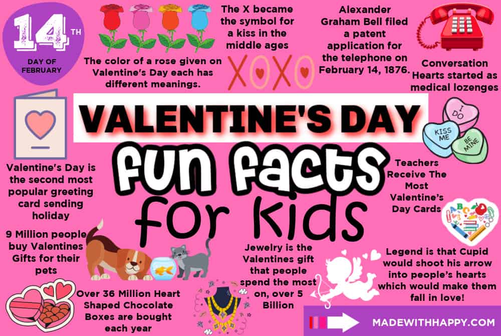 school – Fun Facts for Teen