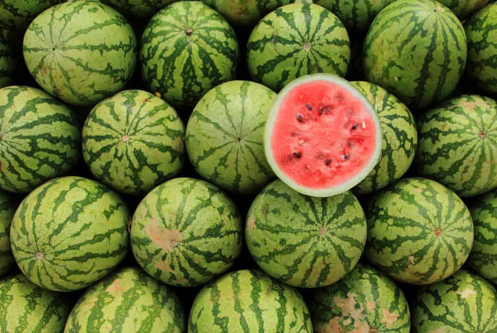 watermelon facts