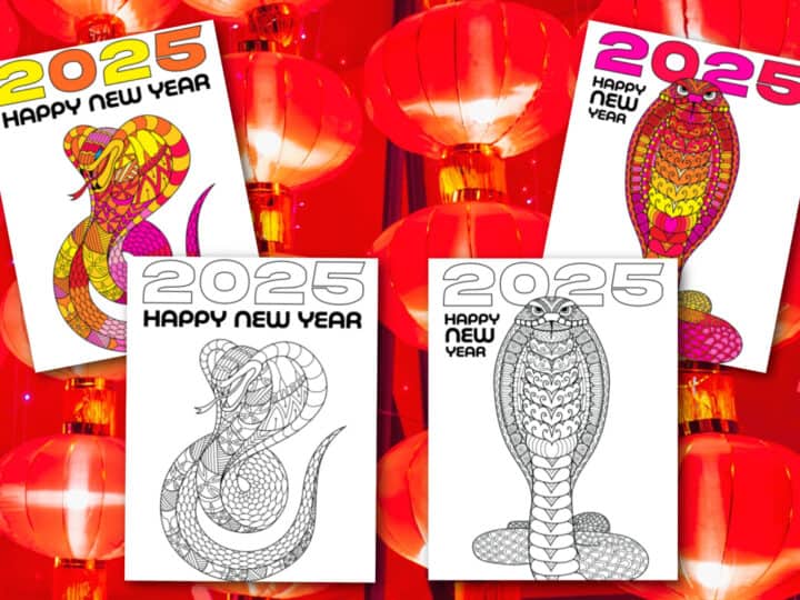 year of the snake